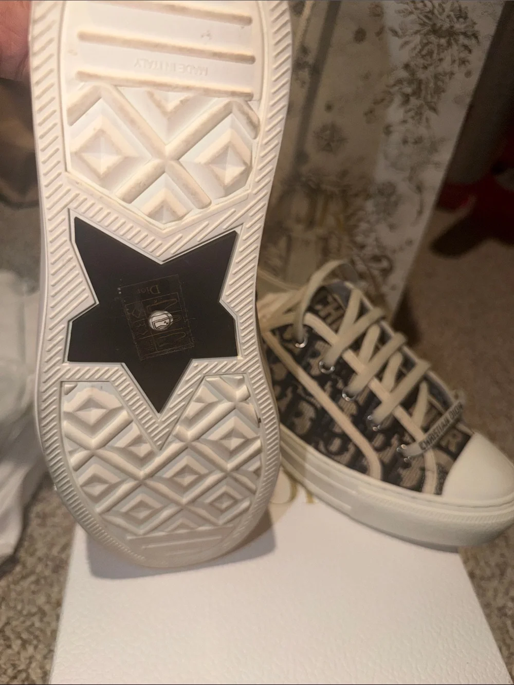 Dior Beige and Navy Blue Canvas Low-Top Sneakers